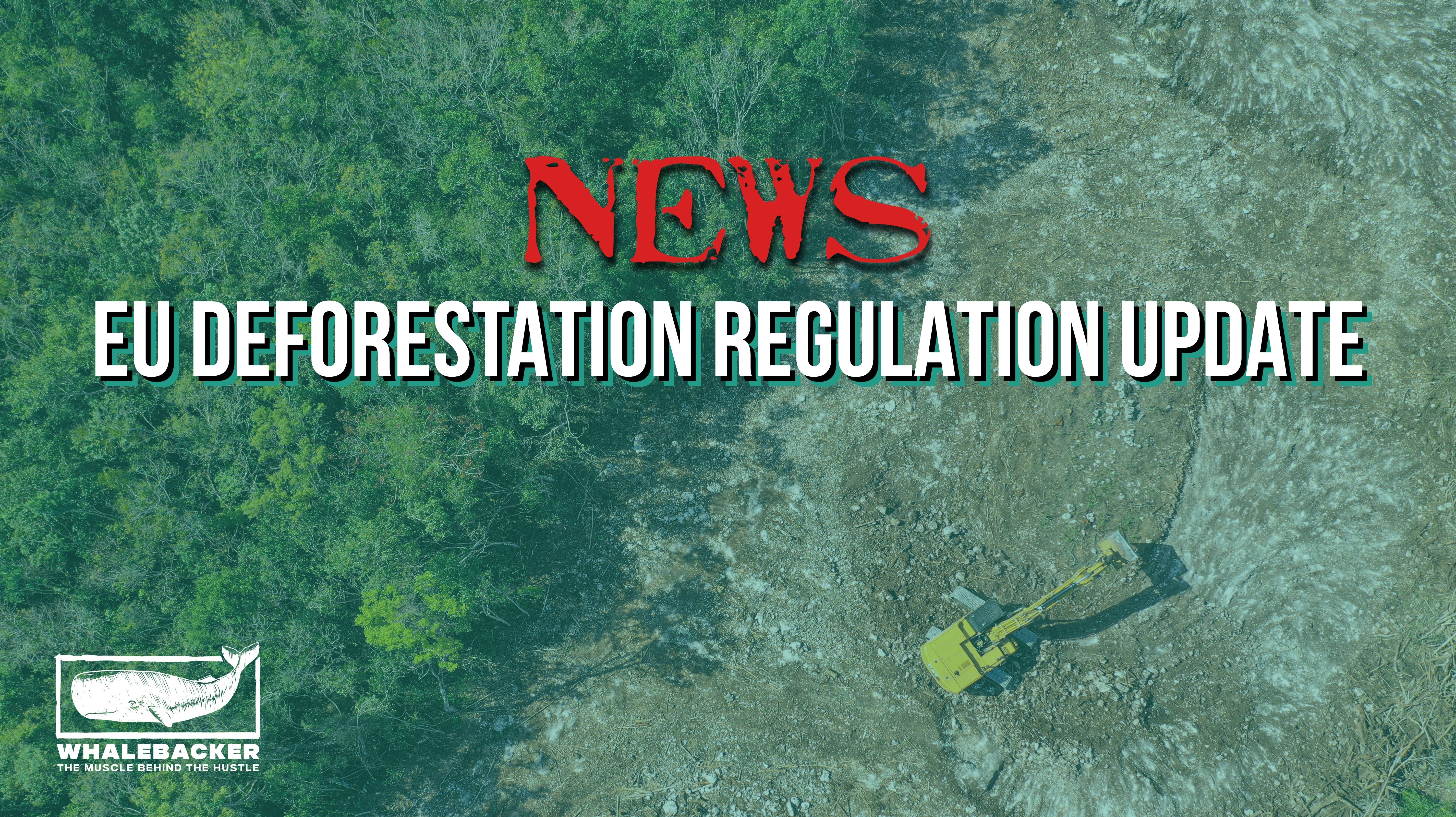 NEWS: EU Deforestation Regulation Update – Whalebacker