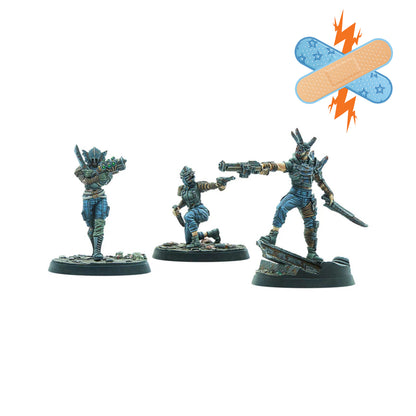 Fallout: Wasteland Warfare Raiders Disciples Leaders